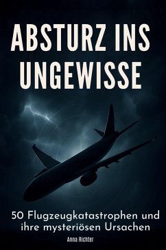 Absturz ins Ungewisse - Richter, Anna