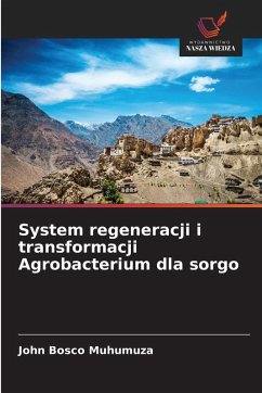 Cover System regeneracji i transformacji Agrobacterium dla sorgo