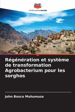 Cover Régénération et système de transformation Agrobacterium pour les sorghos