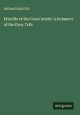 Priscilla of the Good Intent: A Romance of the Grey Fells