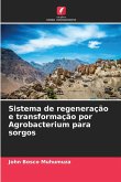 Sistema de regeneração e transformação por Agrobacterium para sorgos Sistema de regeneração e transformação por Agrobacterium para sorgos