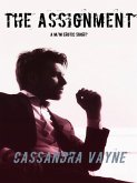 The Assignment: A M/M Erotic Short (eBook, ePUB)