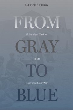 Cover From Gray to Blue (eBook, PDF)