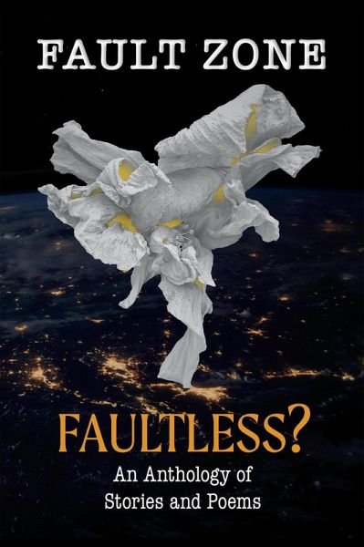 Fault Zone: Faultless? (eBook, ePUB)