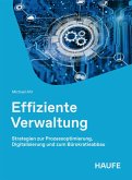 Effiziente Verwaltung (eBook, ePUB)