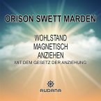 Wohlstand magnetisch anziehen (MP3-Download)