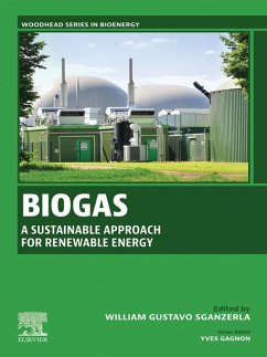 Cover Biogas (eBook, ePUB)