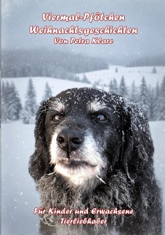 Viermal-Pfötchen (eBook, ePUB) - Klare, Petra