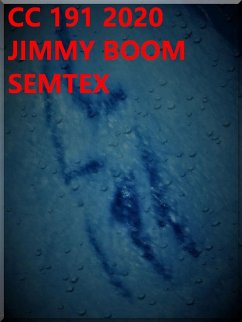 Cc 191 2020 (eBook, ePUB) - Semtex, Jimmy Boom