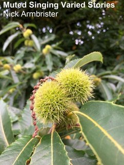 Cover Muted Singing Varied Stories (eBook, ePUB)