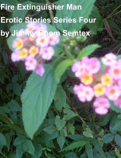 Fire Extinguisher Man Erotic Stories Series Four (eBook, ePUB) - Semtex, Jimmy Boom