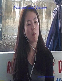 Flotsam and Jetsam (eBook, ePUB) - Semtex, Jimmy Boom