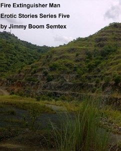 Fire Extinguisher Man Erotic Stories Series Five (eBook, ePUB) - Semtex, Jimmy Boom