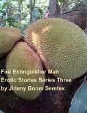 Fire Extinguisher Man Erotic Stories Series Three (eBook, ePUB)
