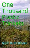 One Thousand Plastic Trinkets (eBook, ePUB)