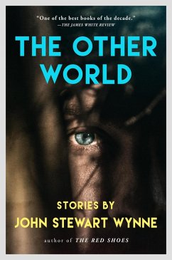 Cover The Other World: Stories (eBook, ePUB)