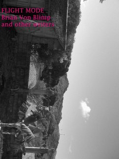 Cover Flight Mode (eBook, ePUB)