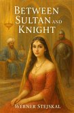 Between Sultan and Knight (eBook, ePUB)