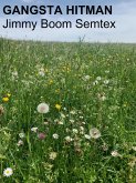 Gangsta Hitman (eBook, ePUB)