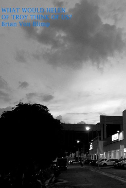 What Would Helen of Troy Think of Us? (eBook, ePUB)