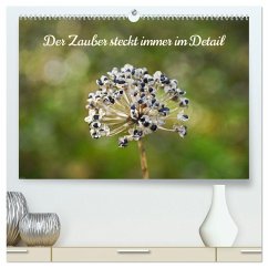 Der Zauber steckt immer im Detail (hochwertiger Premium Wandkalender 2026 DIN A2 quer), Kunstdruck in Hochglanz Der Zauber steckt immer im Detail (hochwertiger Premium Wandkalender 2026 DIN A2 quer), Kunstdruck in Hochglanz