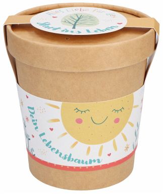 Klimabaum Anzuchtset