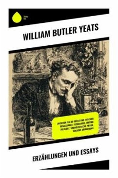 Erzählungen und Essays - Yeats, William Butler