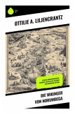 Die Wikinger von Norumbega