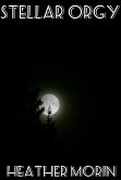 Stellar Orgy (eBook, ePUB)