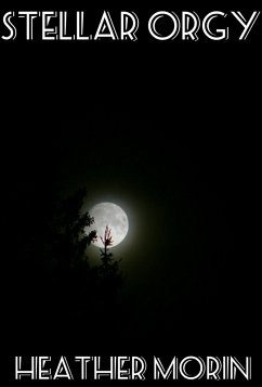 Stellar Orgy (eBook, ePUB) - Morin, Heather