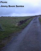 Picnic (eBook, ePUB)