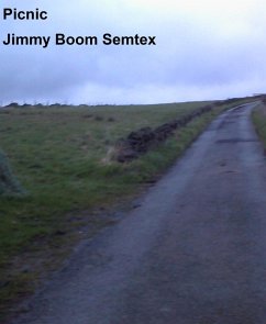 Picnic (eBook, ePUB) - Semtex, Jimmy Boom