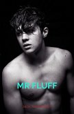 Mr Fluff (eBook, ePUB)