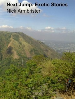 Next Jump: Erotic Stories (eBook, ePUB) - Armbrister, Nick