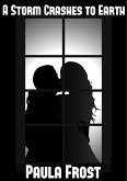 A Storm Crashes to Earth (eBook, ePUB)