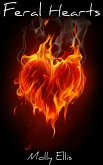 Feral Hearts (eBook, ePUB)