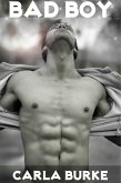 Bad Boy (eBook, ePUB)