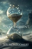 Final Moment (eBook, ePUB)