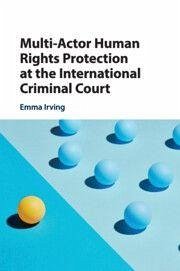 Cover Multi-Actor Human Rights Protection at the International Criminal Court
