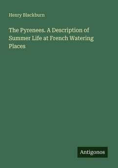 Cover The Pyrenees. A Description of Summer Life at French Watering Places
