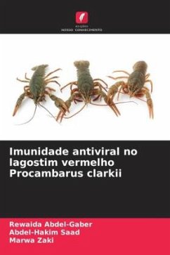 Cover Imunidade antiviral no lagostim vermelho Procambarus clarkii