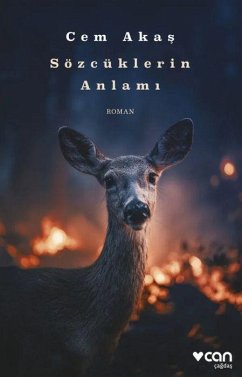 Cover Sözcüklerin Anlami