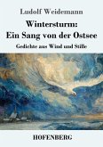 Wintersturm: Ein Sang von der Ostsee