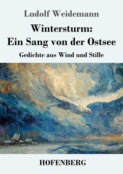 Cover Wintersturm: Ein Sang von der Ostsee