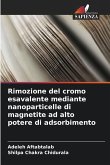 Rimozione del cromo esavalente mediante nanoparticelle di magnetite ad alto potere di adsorbimento