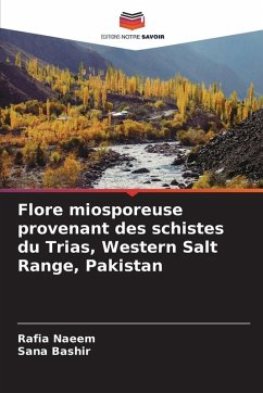 Cover Flore miosporeuse provenant des schistes du Trias, Western Salt Range, Pakistan