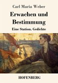 Erwachen und Bestimmung