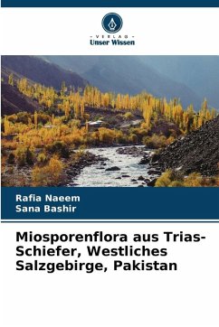 Cover Miosporenflora aus Trias-Schiefer, Westliches Salzgebirge, Pakistan