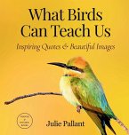 What Birds Can Teach Us