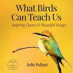 What Birds Can Teach Us